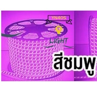 ไฟเส้น ไฟสายยาง Led Strip 5050  60led/m IP67 ไฟเส้นประดับตกแต่ง  (ไม่มีอะแดปเตอร์) ต้องซื้ออะแดปเตอร