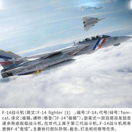 F14 Tomcat โมเดลเครื่องบินรบอัลลอยเครื่องบินบูติกแบบ F15ผลิตภัณฑ์สำเร็จตกแต่งเครื่องบินทหาร1: 100