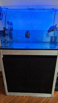 魚缸 （75 cm 長×30闊 x45 高）連黑色鋼架魚缸櫃 （75 長35 闊 80高）