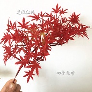 Single Three-Dimensional Red Maple Leaf Fake Maple Branch Imitate Leaves Indoor Mini Bonsai Shaped Tree Accessory Landscape Plant