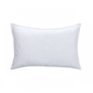 Cushion Pillow 100% organic polyester (16inch x 23 inch)