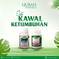 Qubah Synergy Ketumbuhan