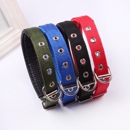 DM Dog Belt Dog collar Dog collars Dog Leashes Pantali sa aso (1pc)