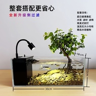Native Stream Tank Full Set of Landscape Aquarium Household Living Room Desktop South American Style Super Clear Thicken