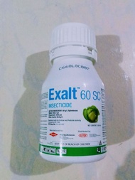 EXALT 60SC(250ML) PINETORAM INSECTICIDE/BY DOW AGRISCIENCE