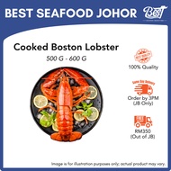 [WHOLESALE] Cooked Boston Lobster 600g± 波士顿龙虾 | Udang Kara Boston | Best Seafood Johor