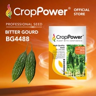 (20 GRAM) Biji Benih Peria Katak Kampung Star 甘榜之星 BG4488 CROP POWER F1 HYBRID Bitter gourd Seeds 山苦