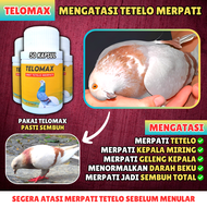 OBAT MERPATI TETELO / TELO TELOMAX Burung Merpati