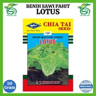 Benih Sawi Pahit LOTUS 50 Gram - Bibit Mustard Green Selada Hijau