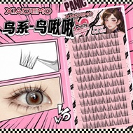 Animal False Eyelashes Premium Box - H06