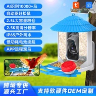 Foreign Trade Smart Bird Feeder Al Bird Identification Solar HD Pet Feeder Bird Viewing Device