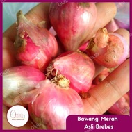 Bawang merah brebes super 100gr / bawang merah brebes / bawang super