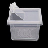 Plastic Transparent Reptiles Living Box Terrarium Scorpion Habitat
