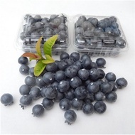 Simulation Blueberry Model Fake Fruit Vegetable Props Decoration Small Fruit Photography Display Jew