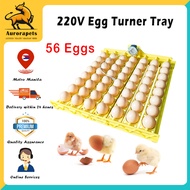 220V Automatic Eggs Turner Tray 56 Capacity Chicken Duck Pigeon Egg Tray for Incuabtor Hatchery