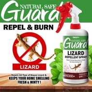 TARGET MAX Lizard Repellent Spray Cicak Killer Spray Gun Halau Cicak Paling Berkesan 壁虎驱除剂 Ubat Cica