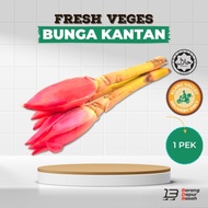 [NO OUTSTATION] BUNGA KANTAN 1 PEK