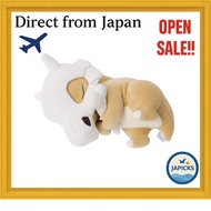 Direct from Japan - Pokémon Center Original Mochi-like Plush Pokémon Sleep Goodnight Cubone 32×22×16