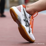 volleyball shoes, badminton shoes, dryp volleyball shoes WRGB