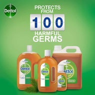 [SG seller] [READy STOCk] Dettol Antiseptic Germicide Liquid