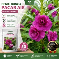 UNGU Double Purple Water Hyacinth Flower Seeds 50 Seeds | Ornamental Garden Balsam Seeds Easy to Gro