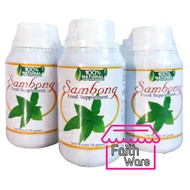 Sambong Capsule Natural Herbs 100 Capsules