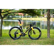 Elves Falath EXP — Black Gold Edition
