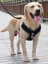 1件大型犬用胸背可調式反光透氣網狀背心,適用於中大型犬