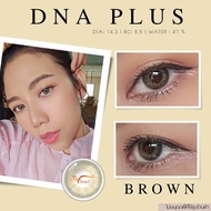 คอนแทคเลนส์ DNA Plus : Brown - Gray / ยี่ห้อ Gaezz Secret ( ค่าสายตาปกติ - 1000 )