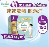 Pampers Ichiban L碼拉拉褲 