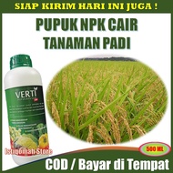 VERTI GROW 500ml Pupuk NPK Cair Obat Semprot Padi Sawah Yang Paling Bagus - Obat Semprot Padi Umur 15 Hari - Obat Semprot Untuk Memperbanyak Anakan Padi - Obat Semprot Alami Untuk Tanaman Padi - Obat Semprot Penyubur Daun Padi Paling Manjur TERLARIS