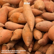 Ubi Orange Manis 1kg - Sweet Potato BUMI PANEN Lezat Harum Telo Mix Ungu Madu Cilembu Ketela Umbi Ta