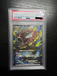 PSA10 鯉魚龍 2015 Japanese XY FA/M Gyarados EX PSA 10 Gem MT
