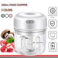 Mini Blender Garlic Chopper 100ML/250ML 30W Mini Electric Food Chopper Garlic Chopper Grinder Multifunction Processor