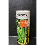 (20g / 50g / 200g) Crop Power OK 10 Ten Brothers F1 Hybrid Okra / Bendi / 羊角豆