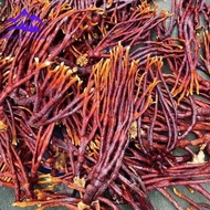 Nấm linh chi sừng hươu Tây Bắc thu hái rừng phơi khô tự nhiên. Thảo dược quý nấm linh chi sừng hươu 