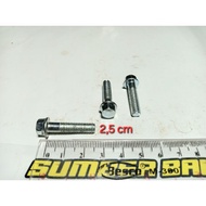 MESIN White Flange Bolt M6 田 25 (2.5cm) Key 8 Engine Block/ FO/ Flange/ Bolt