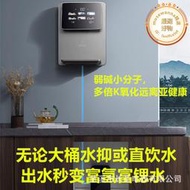 會銷富氫水機小分子團水機源頭商用富氫售水機恆溫加熱鎖氫桶