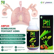 Obat Asma Paling Ampuh Nyeri Dada Sesak Nafas Batuk Asma Paru Paru Asma Mengi ISPA Herbal Asma Non S