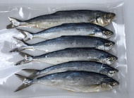 ปลาสีเสียด ปลาสีเสียดเค็ม ปลาสีเสียดเล็ก ไซต์ขนาด 15- 20 ตัวกิโล ปลาสีเสียดตากแห้ง ทอดหอมหรอย ไม่เค็ม เนื้ออร่อย อาหารทะเลแห้ง