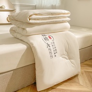 Quilting Single/queen/king Size Duvet Comforter Blanket Inserts