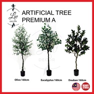 LWDECOR Pokok Hiasan Dalam Rumah Artificial Plant EUCALYPTUS TREE MONEY PLANT Premium A OLIVE tree h