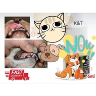 ubat ulcer / ulser mulut kucing , sakit mulut kucing, cat dog ulcer drop