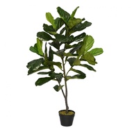 (READY STOCK) Artificial Fiddle Fig 120cm (Premium Grade)