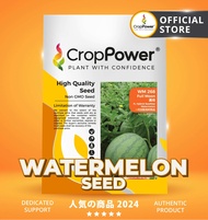 (20 GRAM) Biji Benih Tembikai Boci Full Moon 满月 WM268 CROP POWER F1 HYBRID Seedless Watermelon Seeds