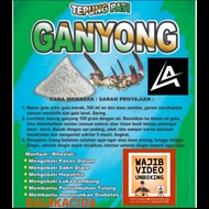 Tepung Pati Ganyong Organik kemasan 1 KG/Pati Ganyong Organik kemasan 1 KG/Tepung Gluten