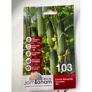 JOM TANAM Cucumber Seed Grand Bonanza / Benih Timun / 黄瓜种子 / Grand Bonanza 103 (20 seeds)
