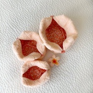 Peach Terry Pouch