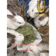 PREMIUM(READY STOCK)TIMOTHY HAY(LOOSEPACK)IMPORTED