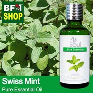 Pure Essential Oil (EO) - Mint - Swiss Mint ( Mentha Spicata ) Essential Oil - 50ml